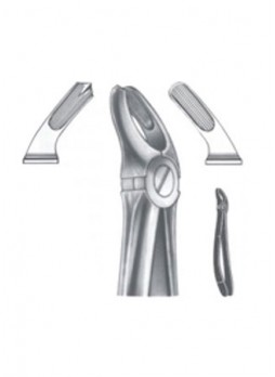 Extracting Forceps